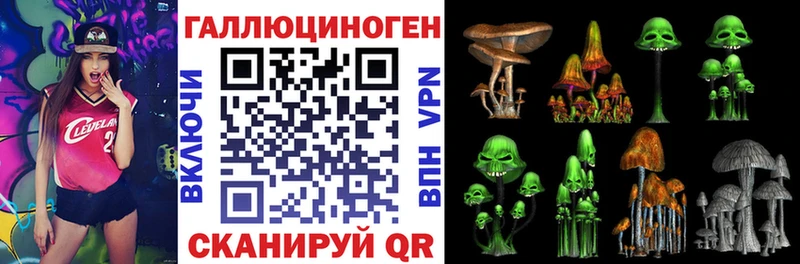 наркота  Среднеуральск  Галлюциногенные грибы Cubensis 